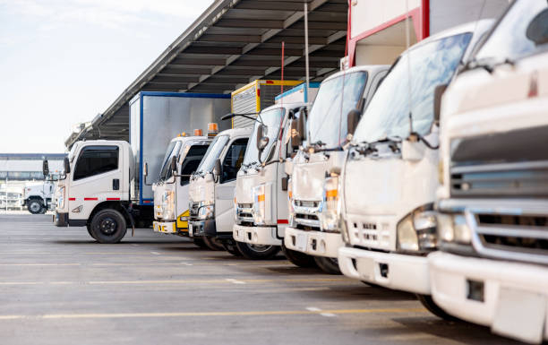 HD TRANSPORT - CÔNG TY TNHH VẬN TẢI HỮU ĐẠT